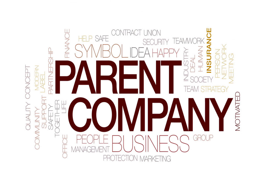 parent company nspl research and training centre 