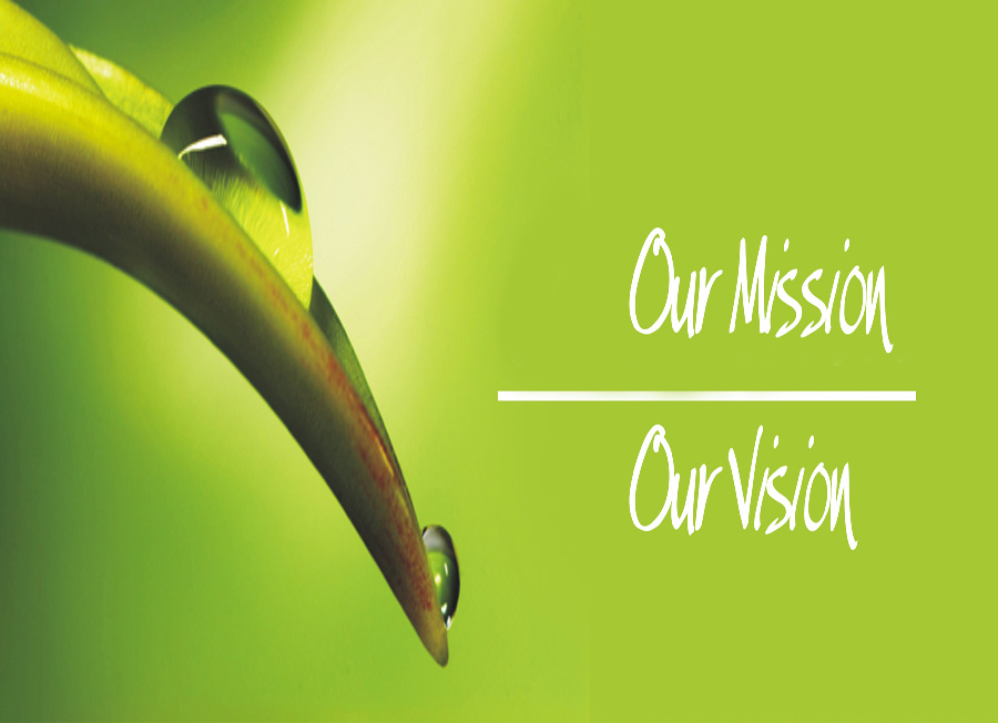 vision mission nspl research and training centre 